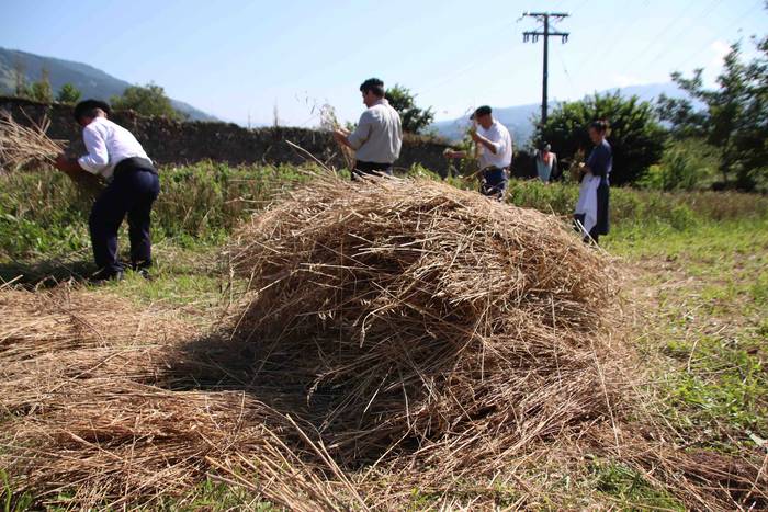 Garia bildu dute ogia egitek 30 1532422258803