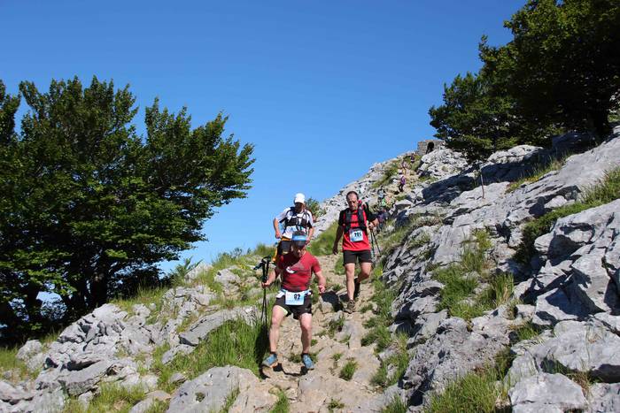 T3T, Hernio 2019 74 1560688441363