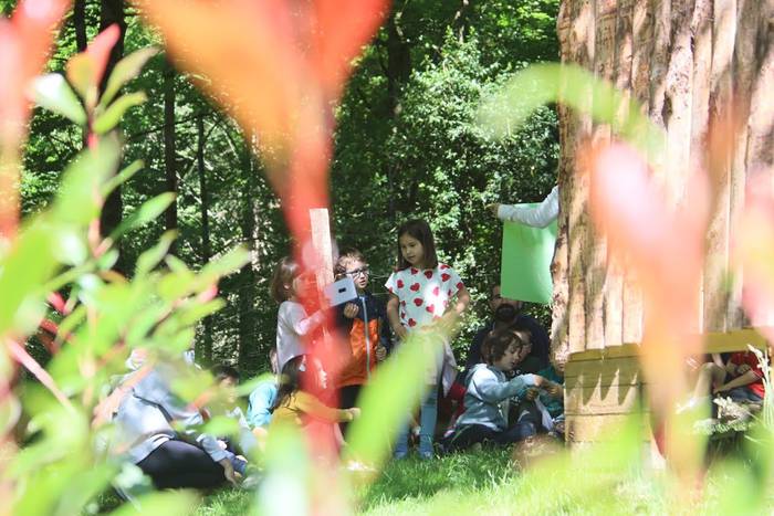 Elosegi parkeko biodibertsit 7 1559225130588