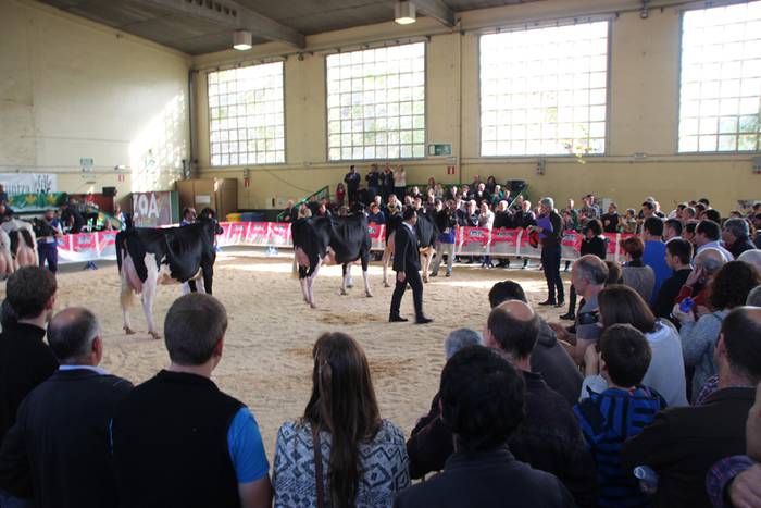 Frisoi Txapelketa 2015 19 1447530182333