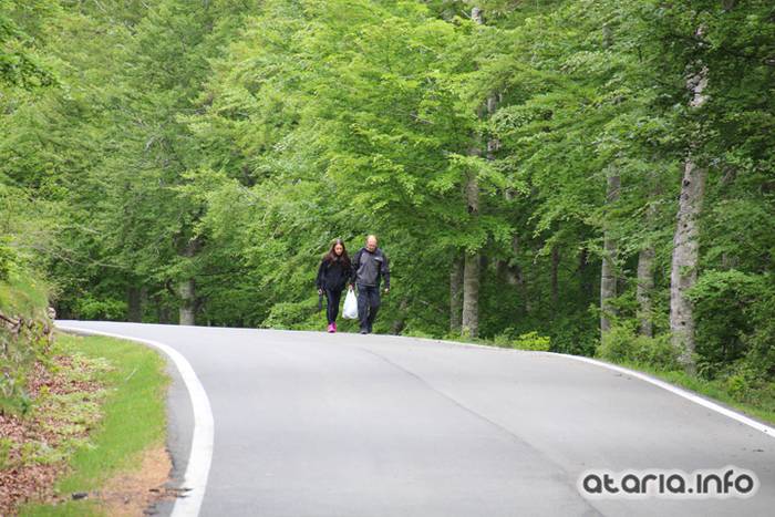 XIV Orduak Lekunberri-SanMigel-Guardetxe 72 1464533113253