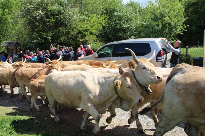 Larre irekiera Larraitzen 20 81 1493640154867