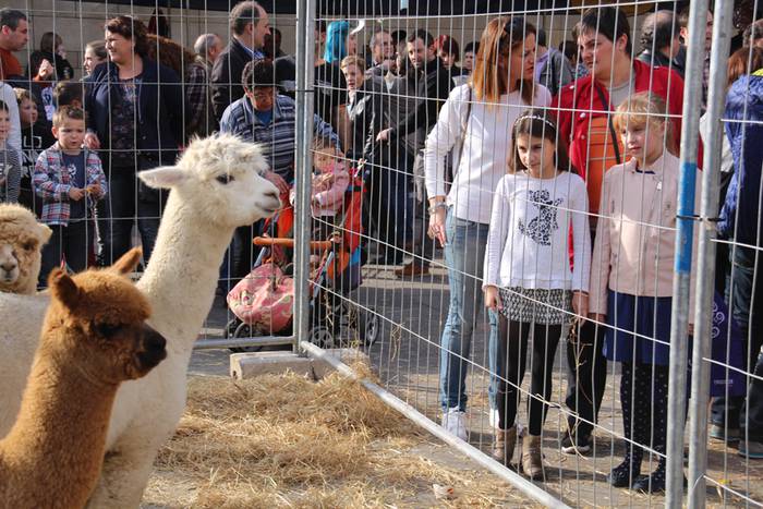 Tolosa Gabonetako Azoka berezia 2015 66 1450532638629