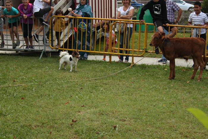 Ikaztegietako Jaiak 2017, um 19 1502457276829