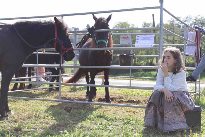 Zizurkilgo herrigunea azoka  47 1665320456385