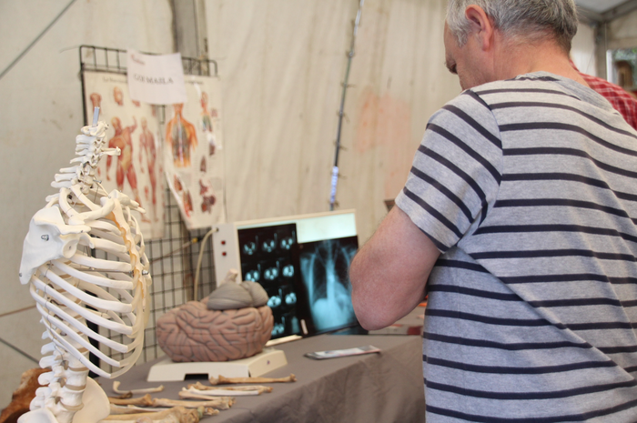 Erakusleiho bizi bat, lanbid 15 1524316842488