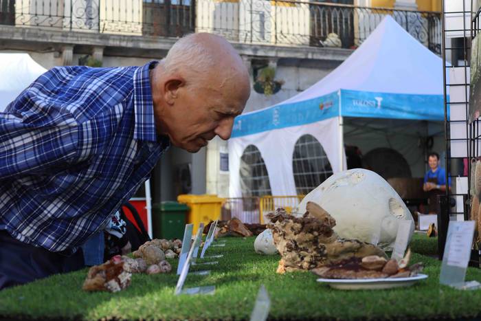 Perretxikoen plaza 13 1666439565417