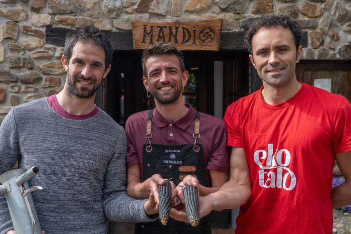 Natxo-taloa: arto beltzaren fruitua