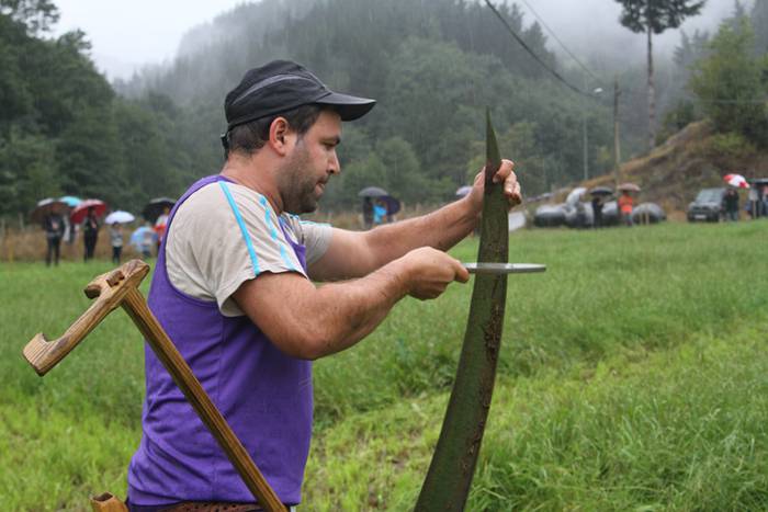 Segalariak, euria eta txakurraren aurka korrika 6 1474130742836