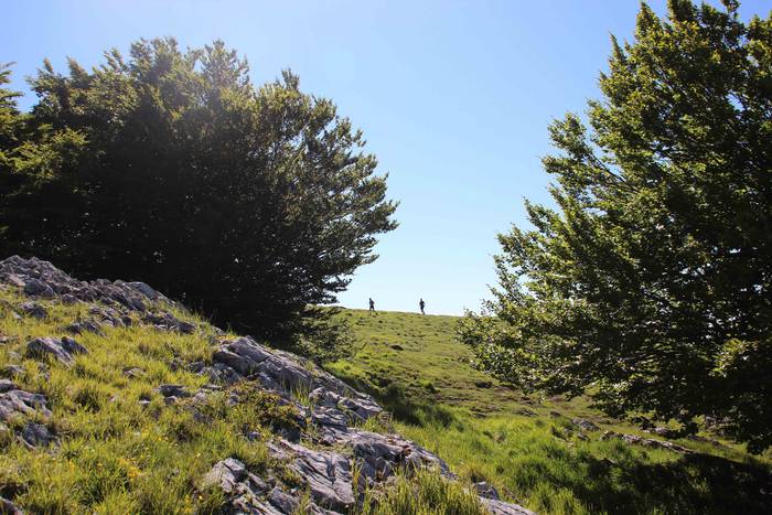 T3T, Hernio 2019 65 1560688436135