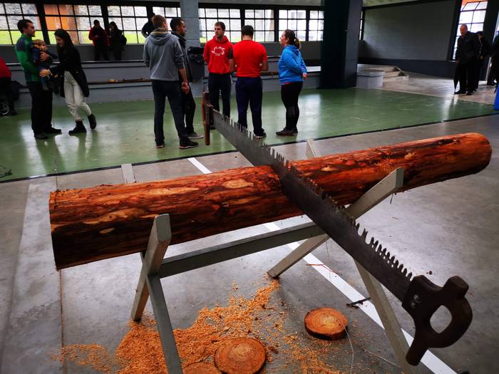 Gazteek saltsa jarri dute Sa 1 1573476462036