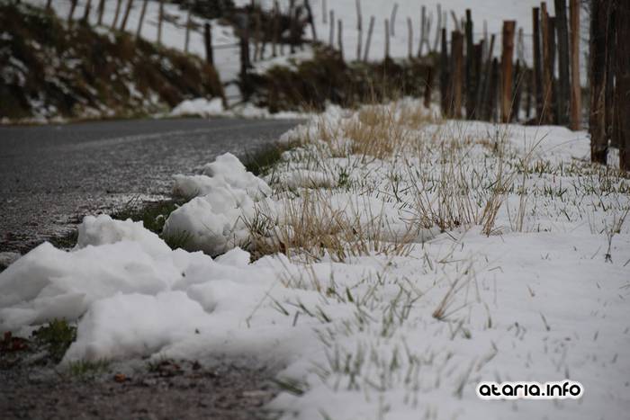 lehen elurtea 2016 10 1455547615257