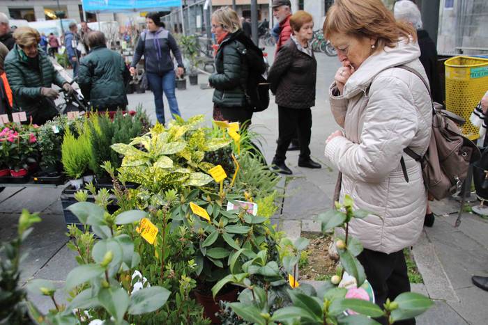 Erein eta zaintzearen magiak 9 1581165928286