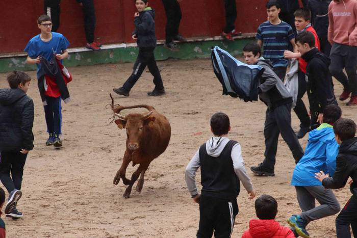 Txikienak zezen txikien aurr 7 1552240868503