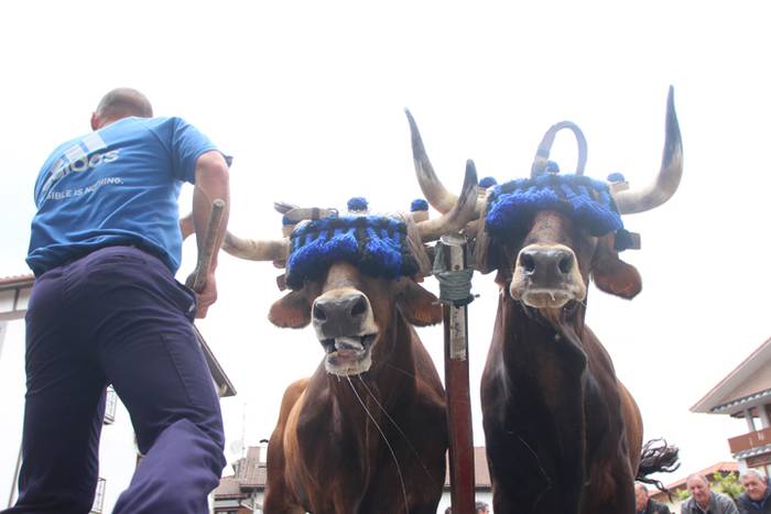 San Isidro Eguna Amasa Astea 21 1526395795165