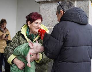 Animaliak bedeinkatuz ospatu dute San Anton Eguna