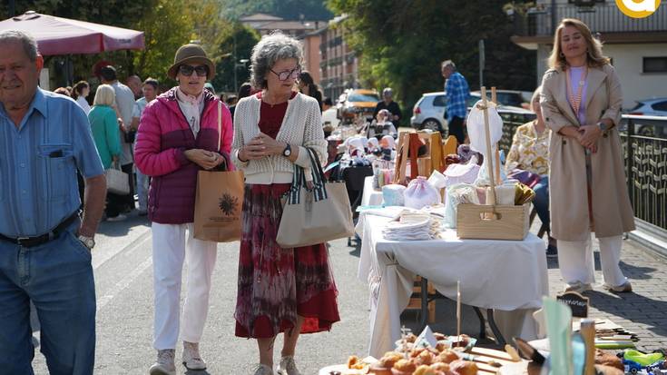 Alegian ere izan da zer ikusi