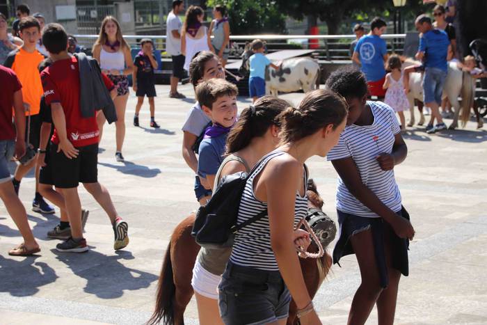 Festak hasteko, poniak eta z 40 1566993996279