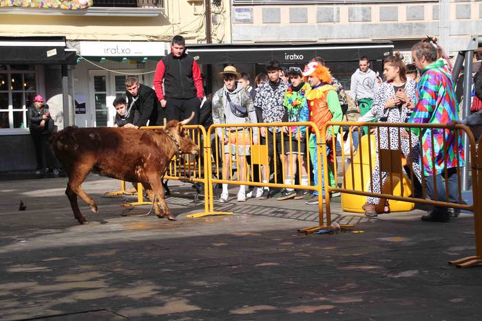 Soka zintzilik eta muturrak  1 1646140687364