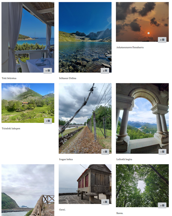 Azken orduak udako argazki onena aukeratzeko