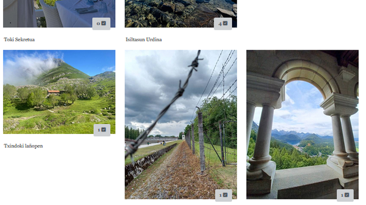 Azken orduak udako argazki onena aukeratzeko