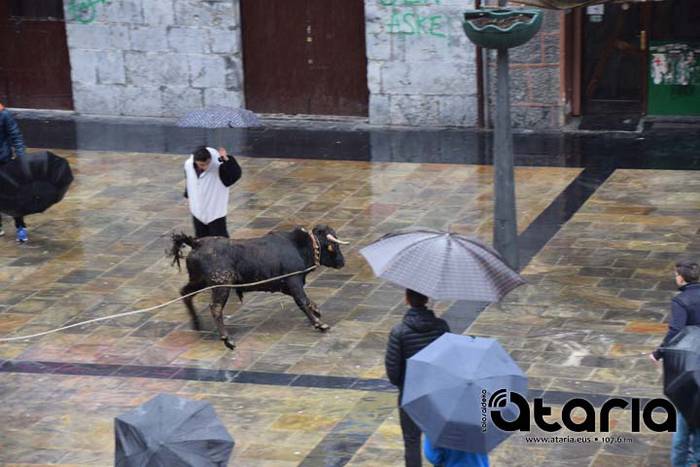 Inauteriak 2018, sokamuturra 43 1518438044580