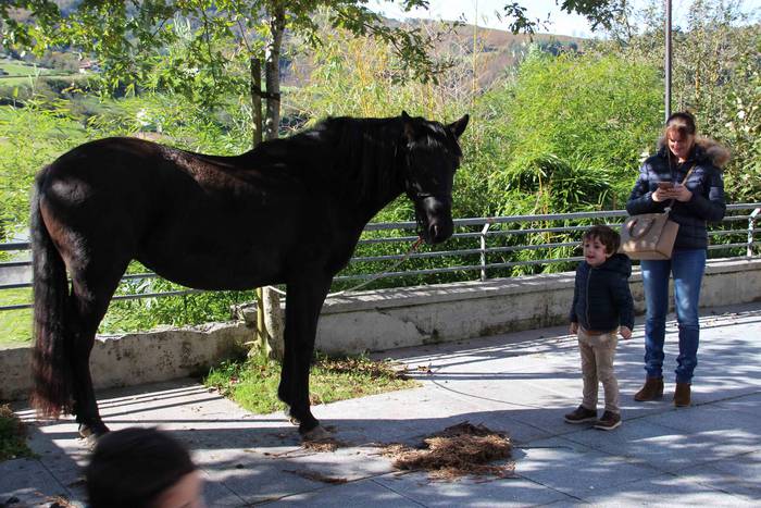 Azoka eguna ospatu dute Bera 24 1541345726854