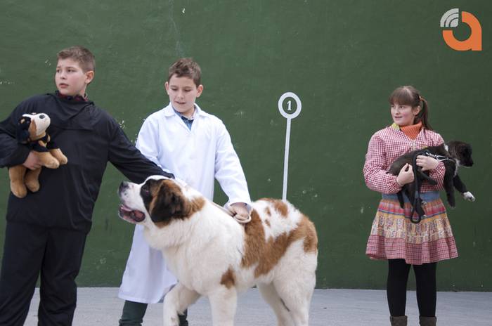 Eskolak argazki galeria 2 20 1423852937045