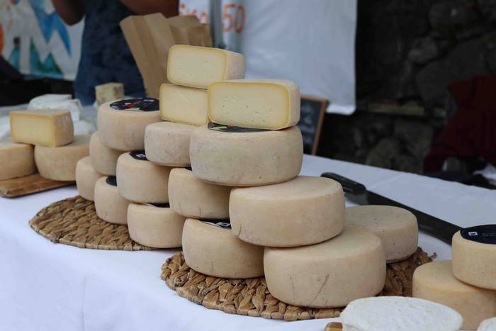 Azoka berreskuratu dute Zizu 23 1633863555642