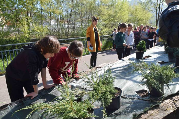 Zuhaitz Eguna ospatzen ari d 4 1553854227749