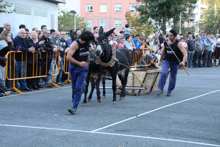 Gazteak nagusi, ximaurra gar 37 1507490643234