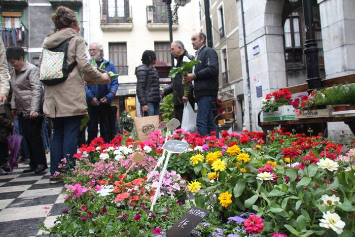 San Isidro Tolosan 2016 9 1463226511807