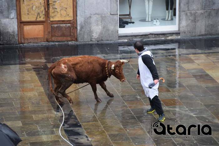 Inauteriak 2018, sokamuturra 41 1518438032815