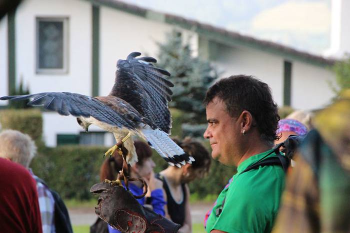 2016 bidea 57 1471776152798