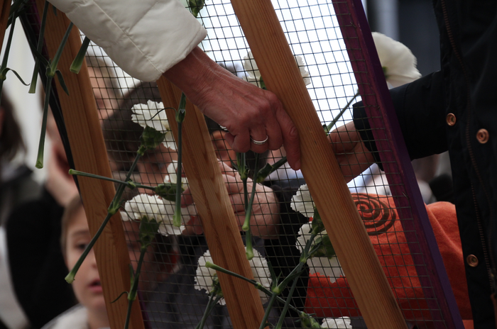 Dira ez, dituzte 37 1511616590515