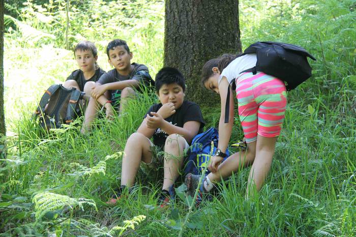 Fleming mendi irteera 7 1559657922505