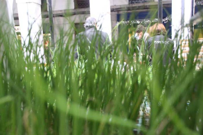 Tolosako Gabonetako azoka be 17 1514054086840