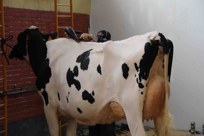 XII. Euskal Herriko Frisoi T 17 1637418670541