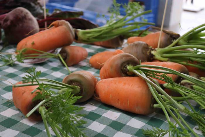 Oholtza gainera igo dira ira 34 1636308521929