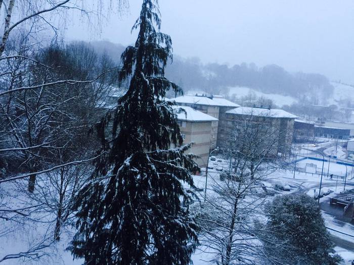 Argazki galeria: Tolosaldea, 36 1519809875350