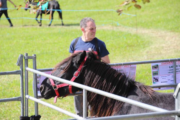 Zizurkil herrigunea Azoka Be 43 1570974704094