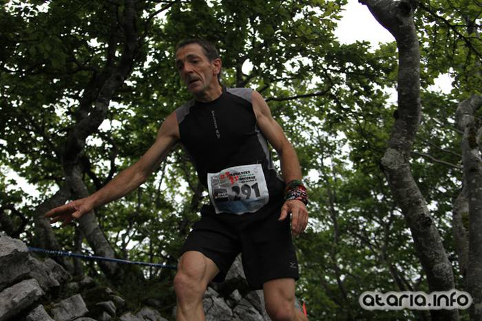 T3T tontor 2016 hernio 39 1466351085128