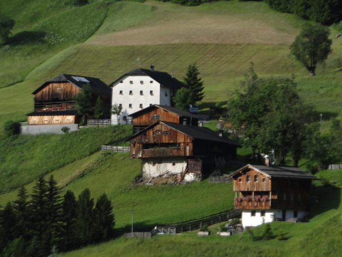 Argazki lehiaketa 2 1470126612645