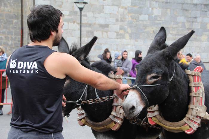 Idiek irabazi diete astoei A 26 1541962293460