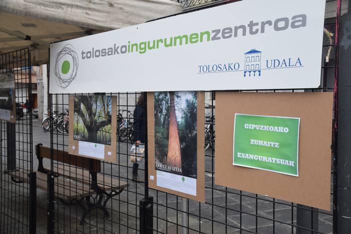 Zuhaitz Azoka, Tolosa, 2017 26 1486819711556