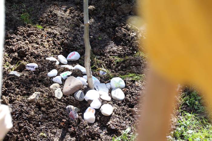 intxaurrondoa landatu villab 27 1647095075364