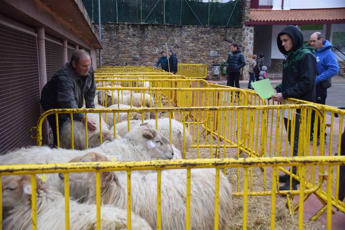 Berastegi hogeita batgarren  23 1572793373472