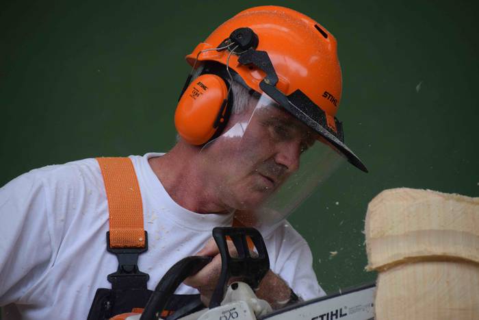 Larraul san bartolome eguna  5 1535187428929