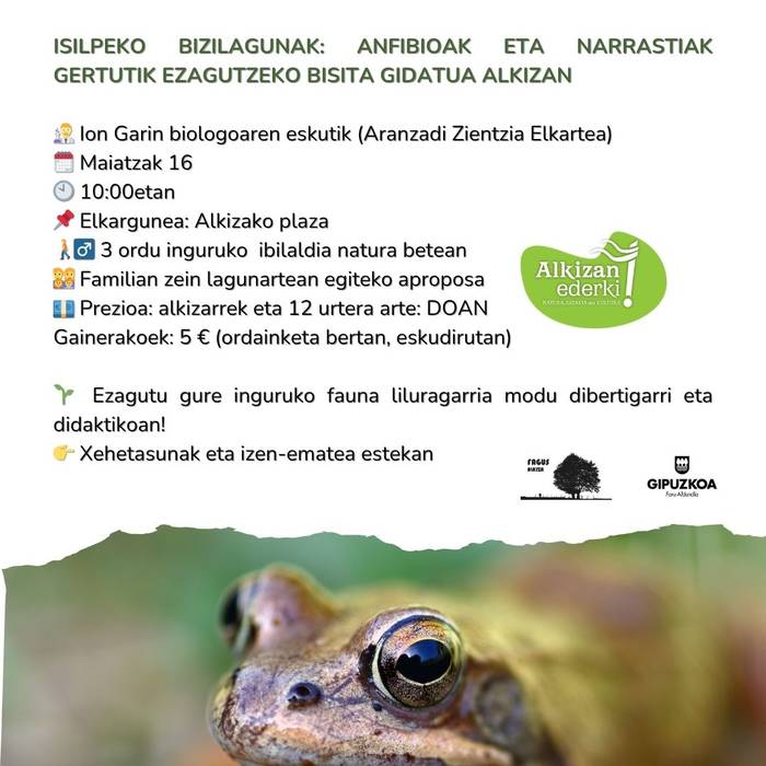 Bisita gidatua