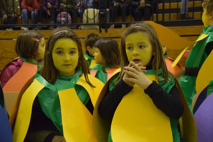 Irura, inauteriak 2018 7 1517997778551